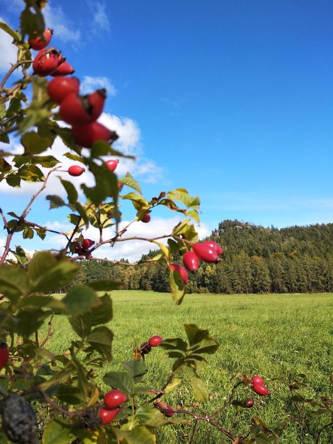 Apartmany Adrspach " U Kozaru " Teplice nad Metují Dış mekan fotoğraf